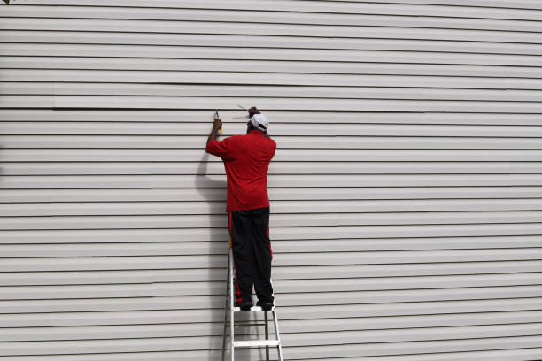 Best Fascia and Soffit Installation  in Hamlin, WV