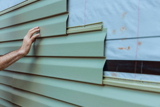 Best Siding Painting and Refinishing  in Hamlin, WV